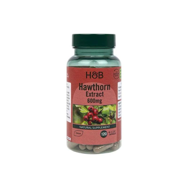 H& B kapsule 600 mg 120 ks