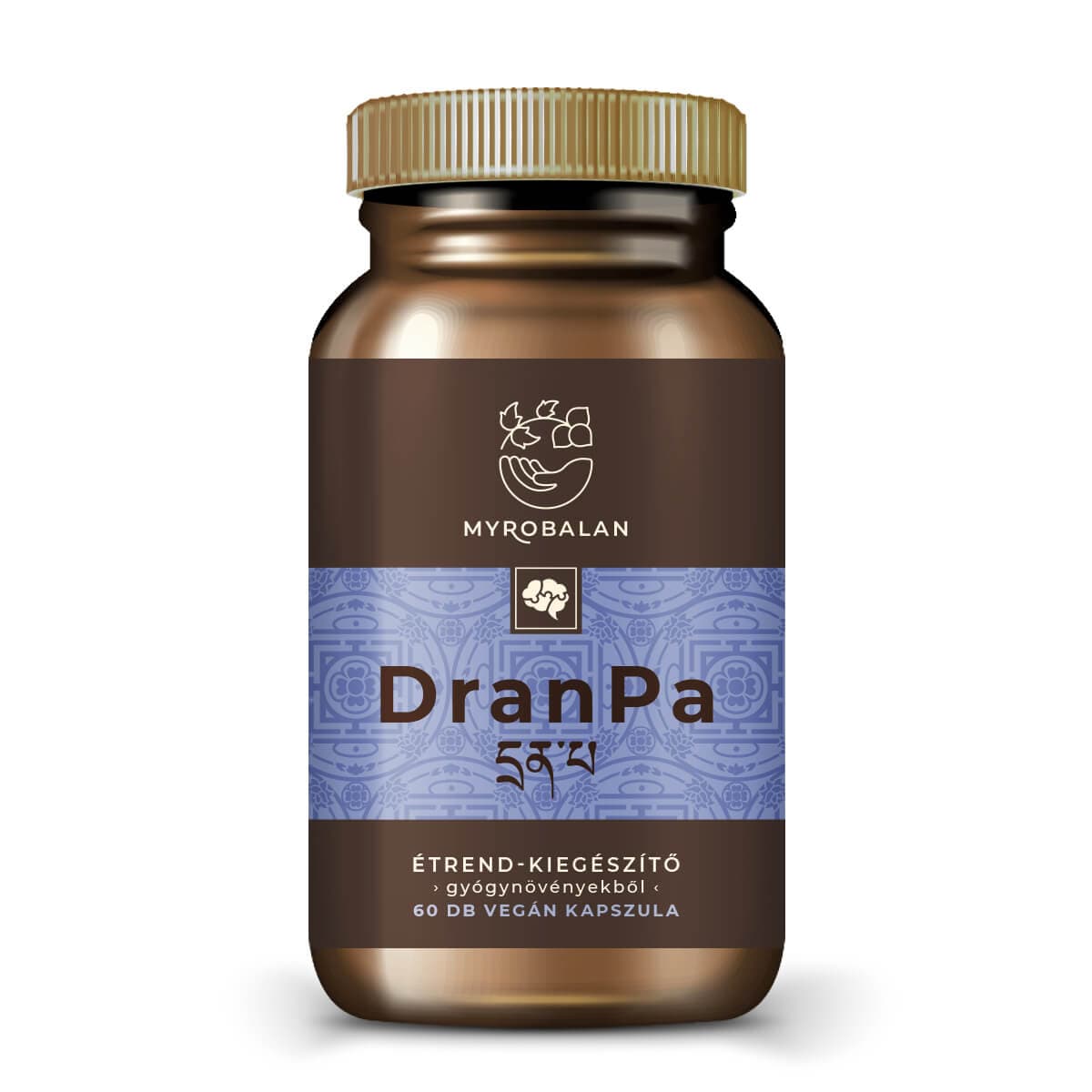 Myrobalan dranPa stimulátor mozgu a zlepšovač pamäte bylinkový komplex vegánske kapsuly 60 ks