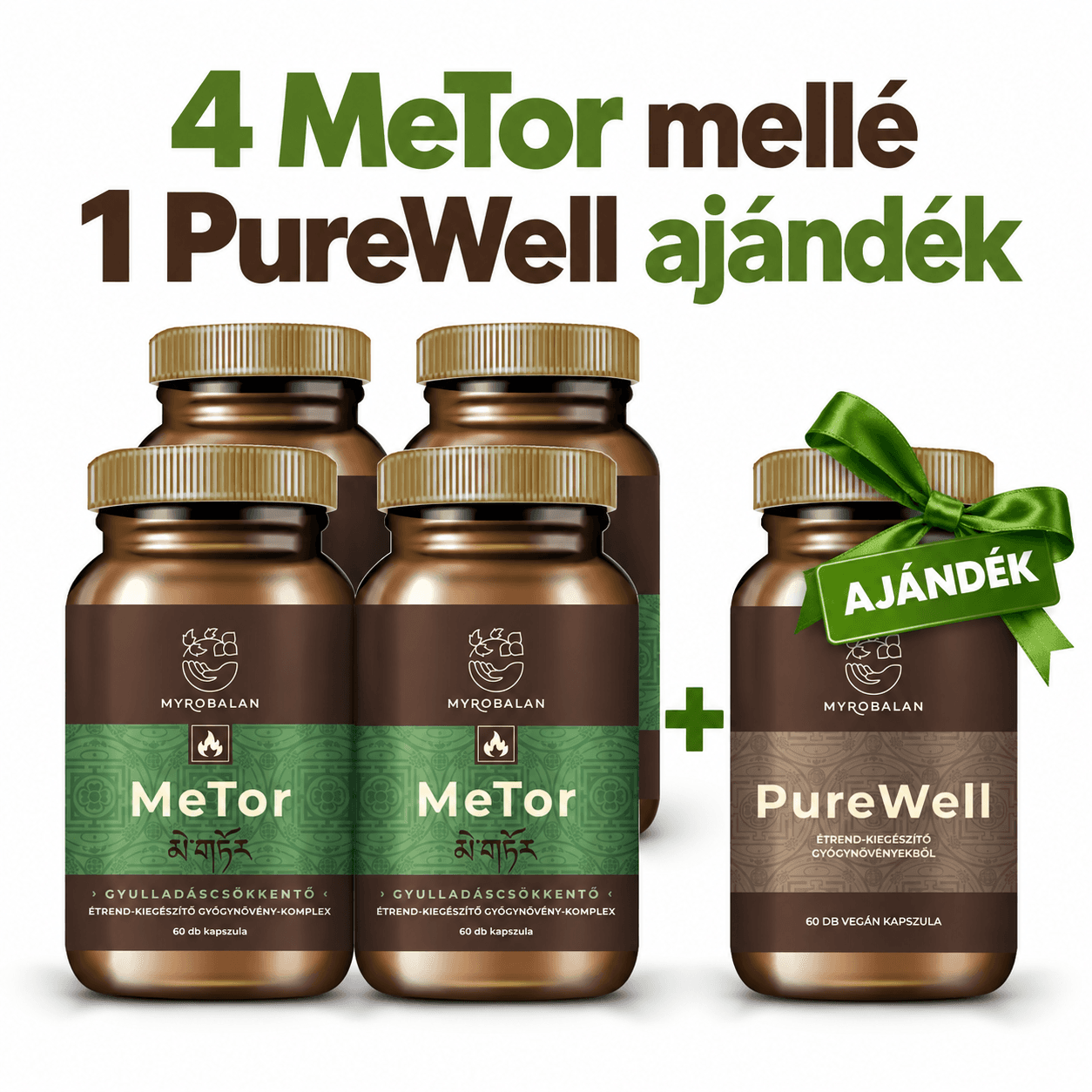 Myrobalan metor protizápalový bylinný komplex vegánske kapsuly 60 ks